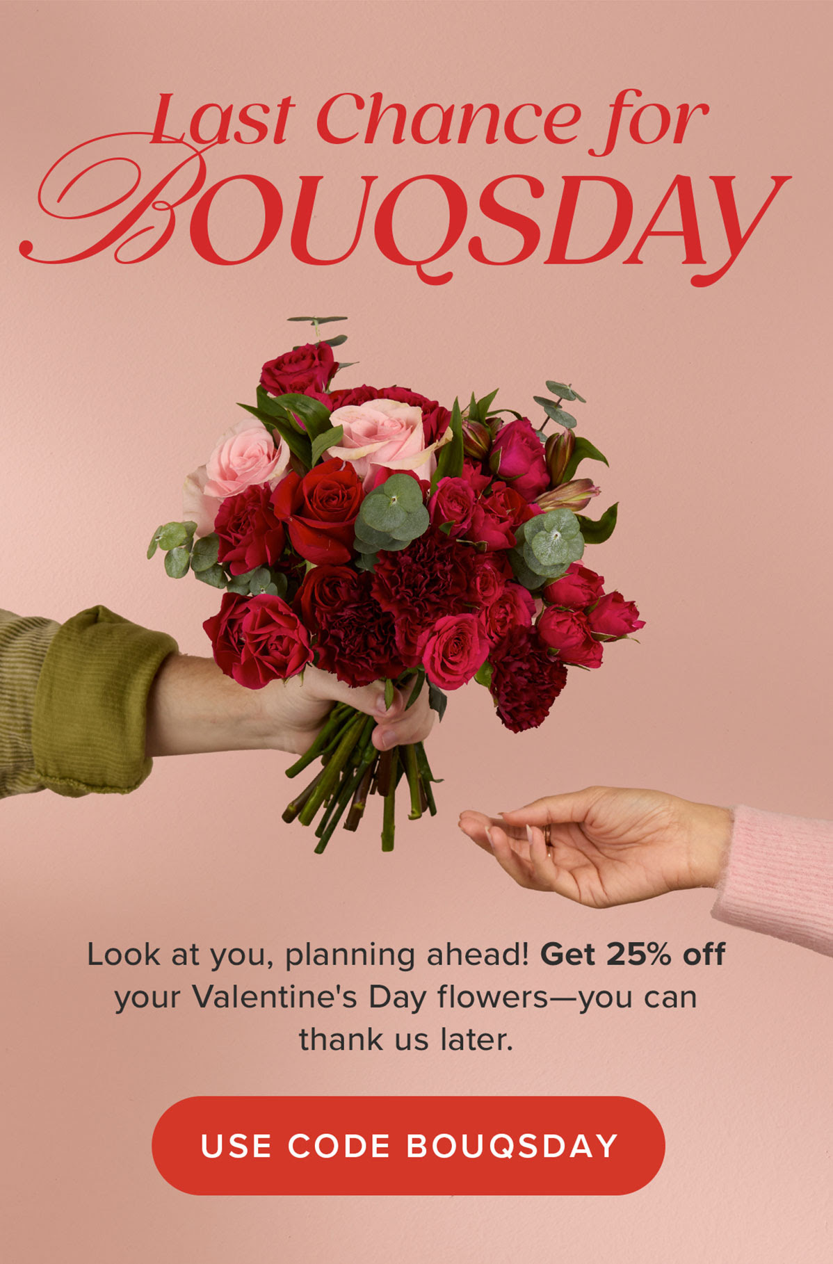 25% Off Bouq Flowers Now